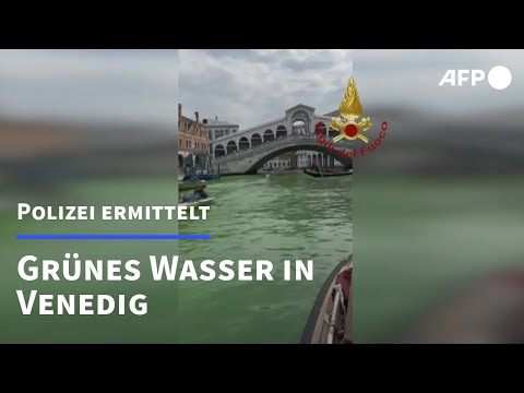Wasser in Venedig grün verfärbt | AFP