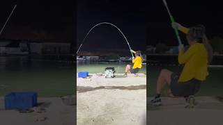 Download lagu kekuatan joran tegek china🎣🎣 #fishing #mancing #mancingkolam #mancingtegek mp3