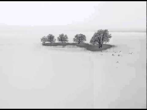 Preldue to sadness-Thierry Lang Trio