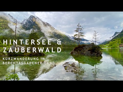 Der wunderschöne Hintersee & Zauberwald bei Ramsau - Berchtesgadener Land  - kleine Wanderung - 4K