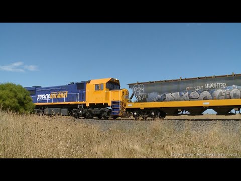 Broad Gauge Pacific National Grain Train (20/2/2021) - PoathTV Australian Railways