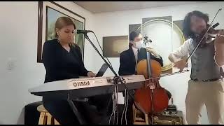 Video de M&S Músicos y Serenatas