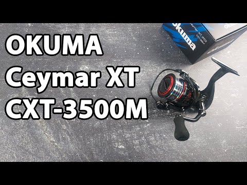 best saltwater spinning reel for the money TOP 5 Best Saltwater Spinning Reels in 2025