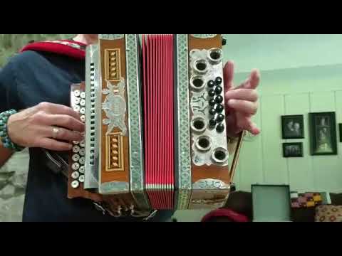 Demo Straaser Steierische accordion A-D-G