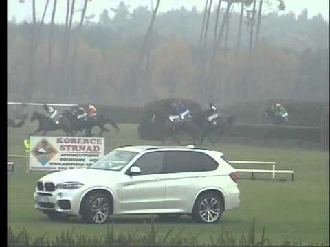 KO, 7. 11. 2015, 6. dostih - CENA SPOLEČNOSTI DARWIN´s PET s.r.o., výrobce krmiv NUTRIN