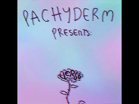 Pachyderm - VERGE [Full Album] 2018