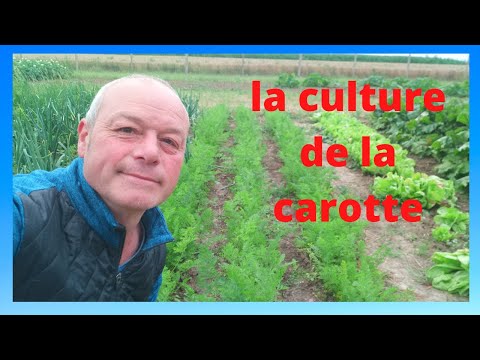 , title : 'Comment semer les carottes au printemps pour Arnaud'