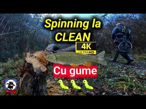 🎣Spinning la CLEAN🐟 cu GUME🐛 în NOIEMBRIE 🍂! 