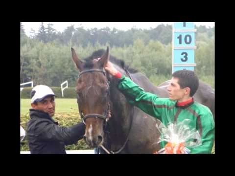 Komu budu fandit při dni 122. Velké pardubické?