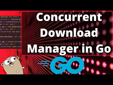 Go Concurrency Example | zero dependency | Muhammad Usman