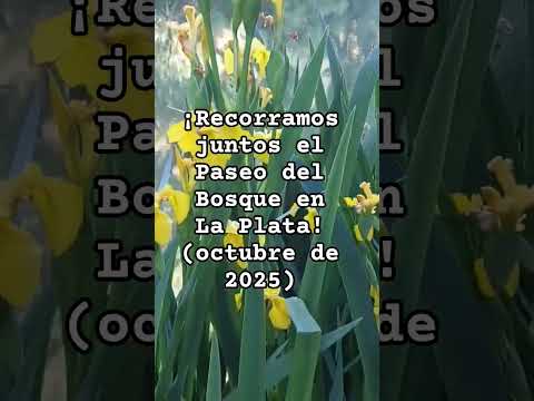 LA PLATA: Paseo del Bosque 2025 Walking Tour #exploring #travel