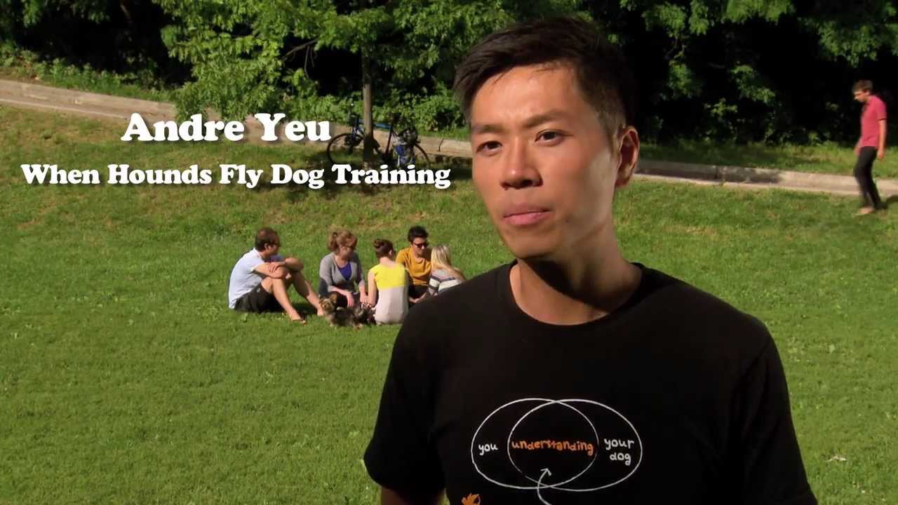 A Dog's Life Tip - Preventing Fear in Puppies