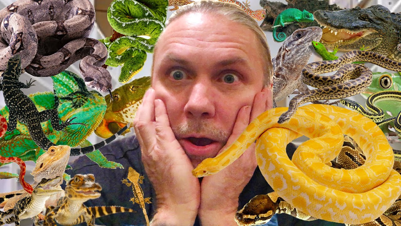 $7500 TO FEED ALL MY REPTILES EVERY WEEK!! | BRIAN BARCZYK