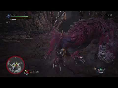 MHW: Lance vs Odogaron