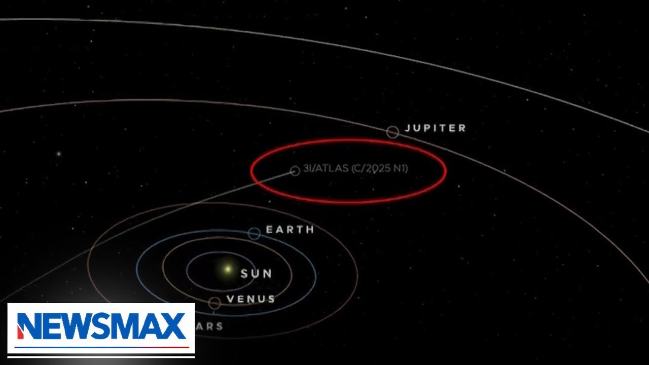 'It's arrogant to believe there aren't alien lifeforms': Dr. Avi Loeb on mystery object in space