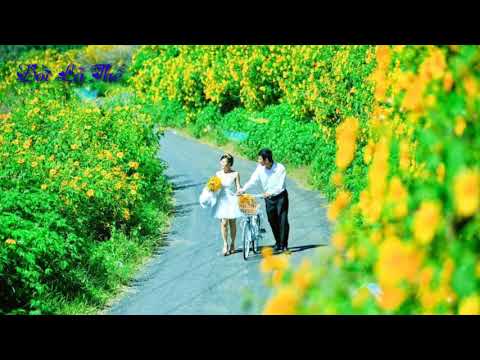 Yêu em đến cuối cuộc đời - Bùi Vĩnh Phúc