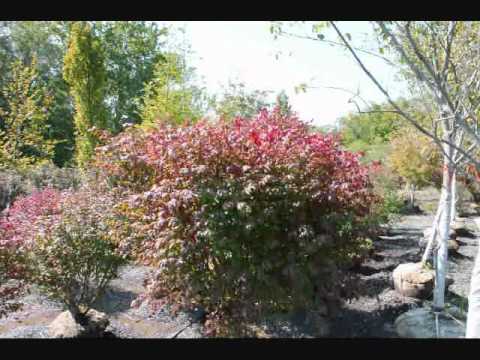 This Barn Is History
