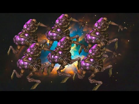 UNBEATABLE ZAGARA FRONTLINE - Weekly Brawl [Starcraft 2 Direct Strike]