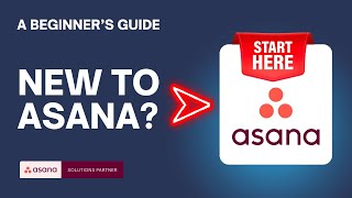 Asana for Beginners ✅ Key Terms You Need to Know to Get Started
