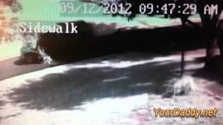 Surveillance Video of President Barack Obama being Kidnapped!