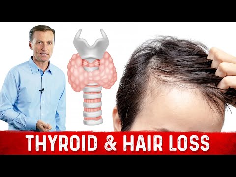 Hyperthyroid vs Hypothyroid Explained By Dr Berg