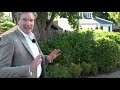 Dit maakt Nissewaard onweerstaanbaar volgens burgemeester Foort van Oosten