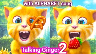 Talking Ginger 2 with the ALPHABET Song ABCD 😲 | talking ginger | ginger cat | ginger |