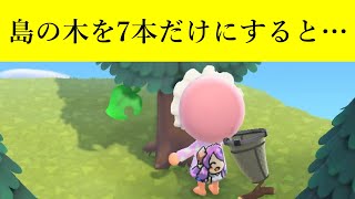 【あつ森】効率よく木から家具を出す方法｜検証