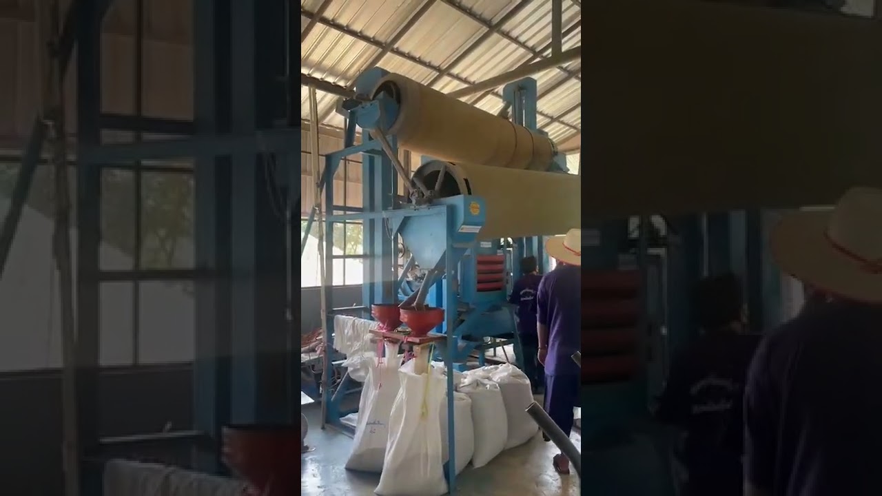 YouTube Short thumbnail