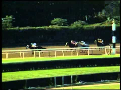 Flanders - 1994 Frizette (G1)