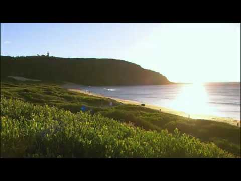 Home and Away: Thursday 26 January - Clip