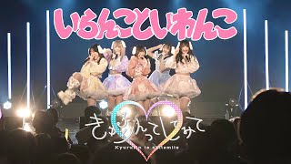 Cover art for いらんこといわんこ (irankotoiwanko)