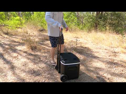 Coleman Vertical Cooler 57L - BCF