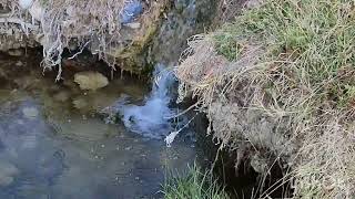 Conana Antik Kent ve Yuveçca Yaylası Yürüyüşü