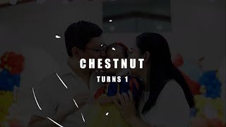 Chestnut Turns 1 Same Day Edit Video