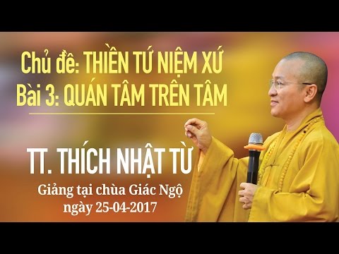 Thiền Tứ Niệm Xứ - Phần 3: Quán Tâm trên Tâm - TT. Thích Nhật Từ