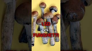 Download lagu Differenza tra LSD e FUNGHETTI? mp3