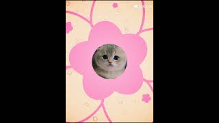 Download lagu Smile - Lily Allen mp3