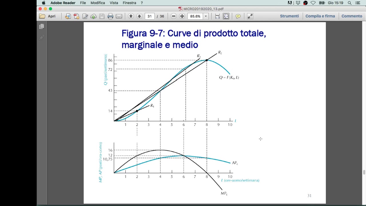 Lezione 13.7: Curve di prodotto medio e prodotto marginale