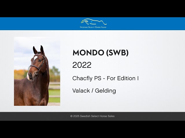 Mondo - Free jumping