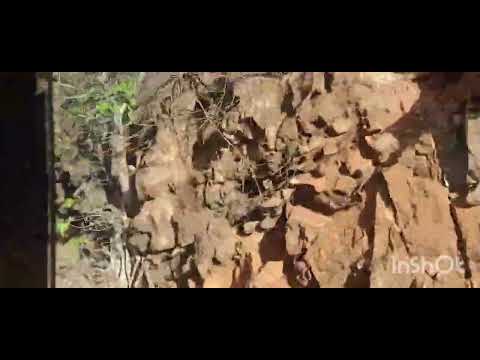trecho entre Guanabi a Ibassuce Bahia  