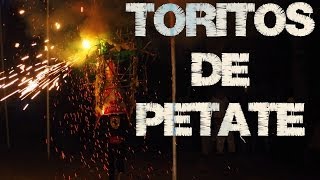 preview picture of video 'Quema De Los Toritos De Petate en San Isidro Lagunas Oaxaca (San Isidro Labrador, Fiesta Patronal)'