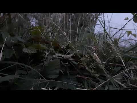 Bandscan DAB+ Zandvoort, Noord Holland Nederland 4.08.2021