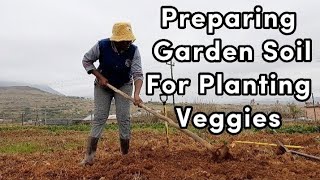 How to Prepare Soil for planting in South Africa - farming in south africa [ Small scale farming]