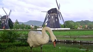 Vladimir Shafranov Trio - Holy Land