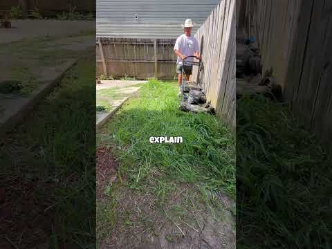 This yard could pay me til I die #lawncare #dclawncare #lawn #work #mowing