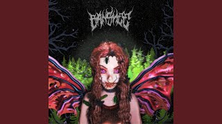 PARASITE Music Video