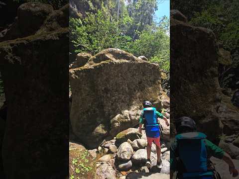 La Gran Rana, el Mono Aullador  y la aleta de tiburón #cañon #rafting #avistamiento #descenso