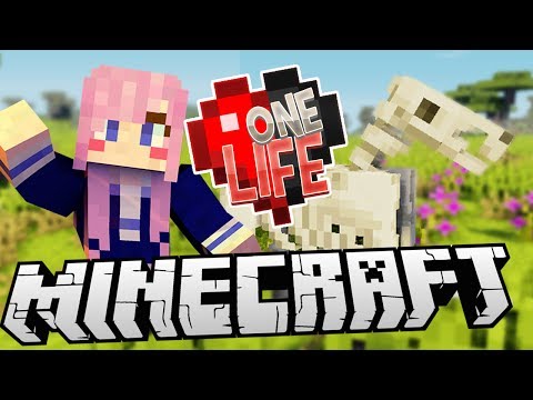LDShadowLady - Evil Chickens Attack! | Ep. 1 | Minecraft One Life