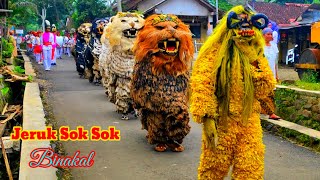 Download lagu Can macanan singo raung cilik Di undang acara imtihan Tampil di desa jeruk sok sok Binakal mp3 Download lagu Can macanan singo raung cilik Di undang acara imtihan Tampil di desa jeruk sok sok Binakal mp3